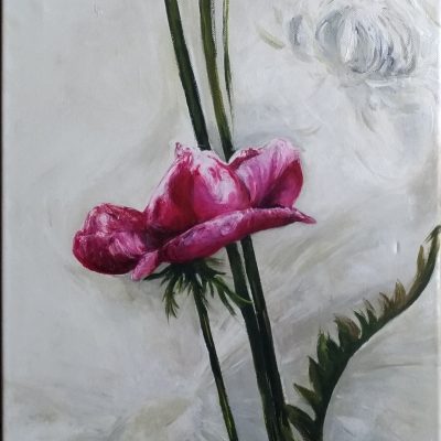 P_20191212_143146_vHDR_Auto