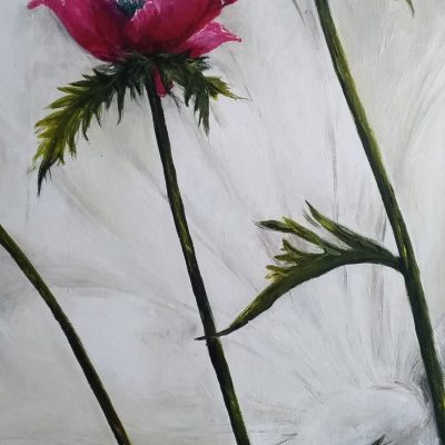 P_20191212_143222_vHDR_Auto