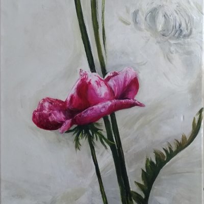 P_20191212_143253_vHDR_Auto